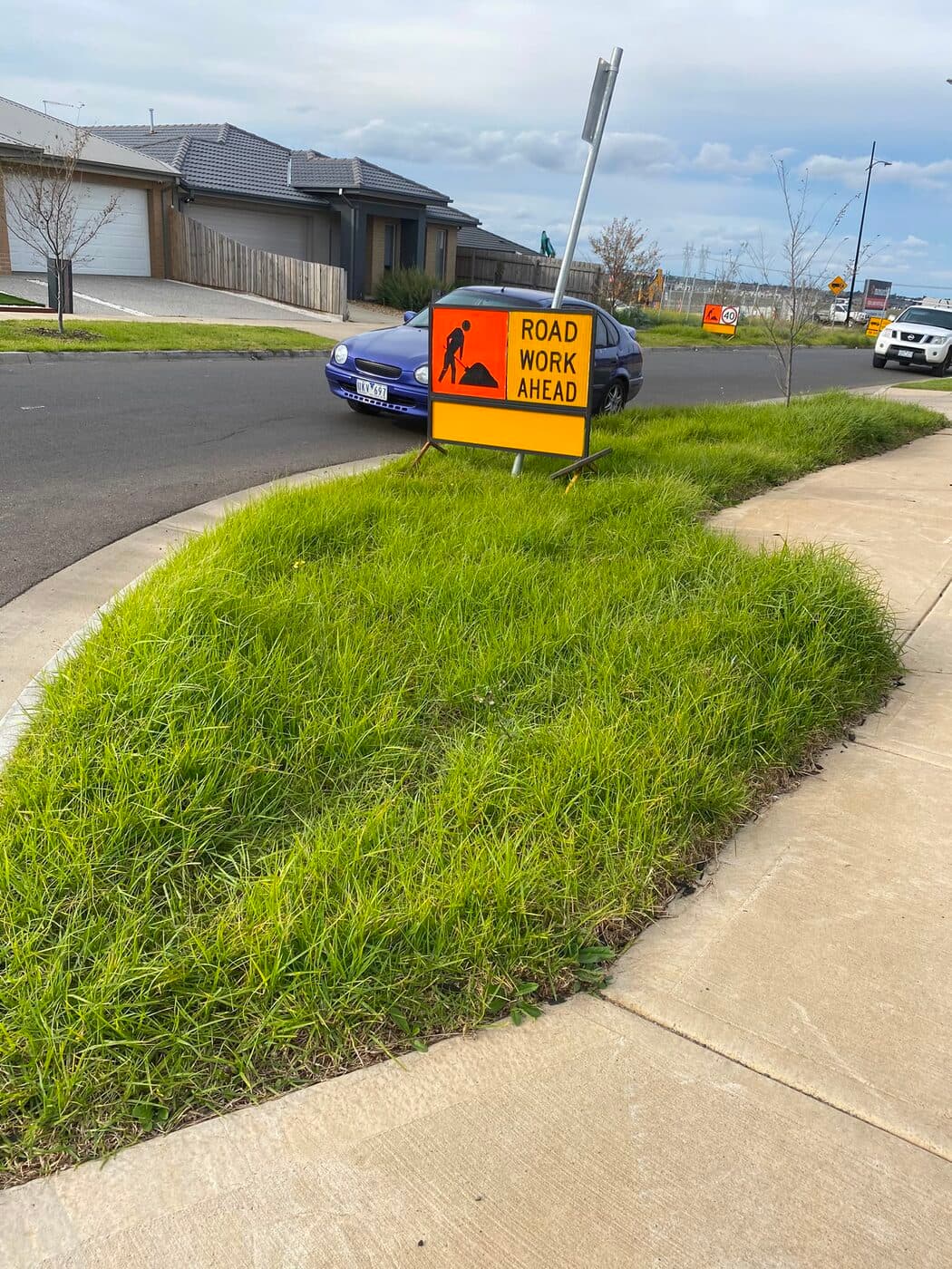 Nature strip cleanup — before Special Lawn Forces visit