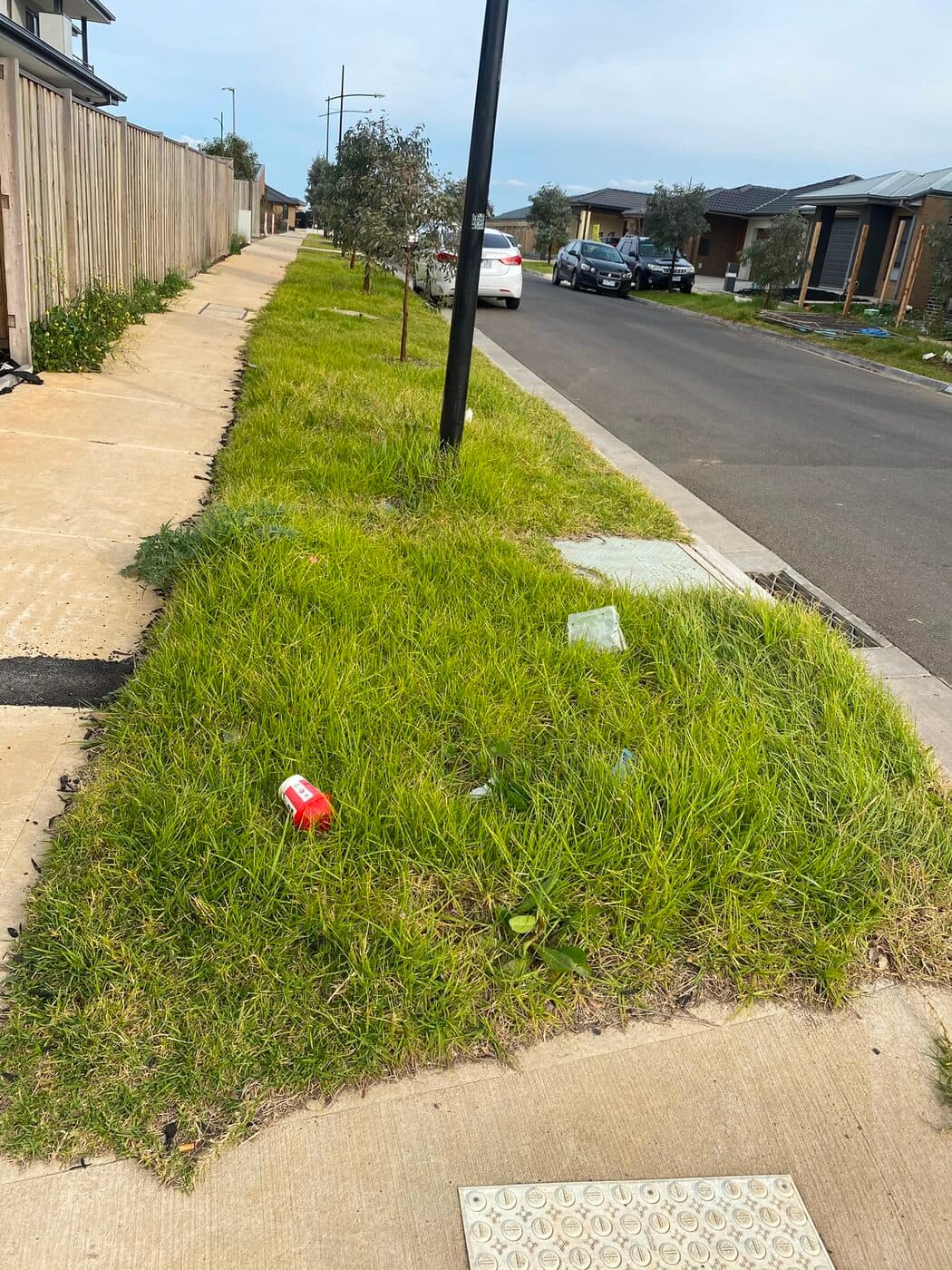 Sidewalk verge tidy-up — before Special Lawn Forces visit